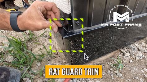 rat guard trim home depot